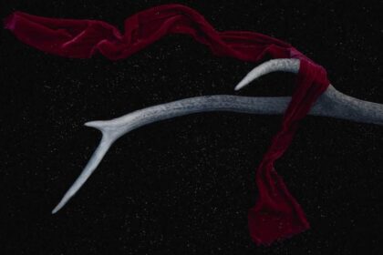 Astrologie als Wegweiser für persönliche Entwicklung