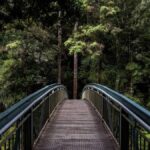 Astrologie und die Heilung der Seele