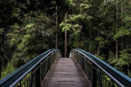 Astrologie und die Heilung der Seele