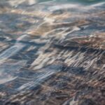 Die Kraft des vollmondes und ihre spirituelle Bedeutung