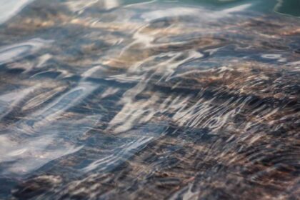 Die Kraft des vollmondes und ihre spirituelle Bedeutung