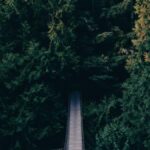 Die Kunst der Horoskopdeutung für Anfänger