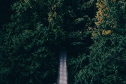 Die Kunst der Horoskopdeutung für Anfänger