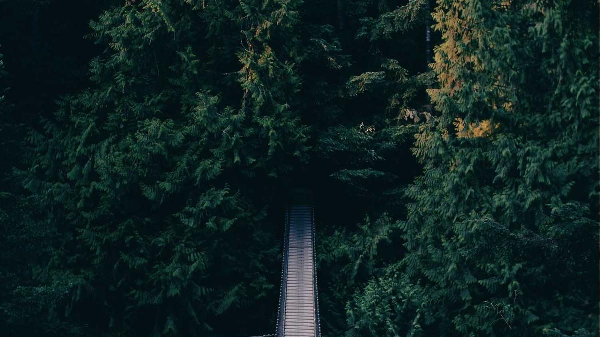 Die Kunst der Horoskopdeutung für Anfänger