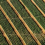 Die Rolle der Elemente in der persönlichen Astrologie