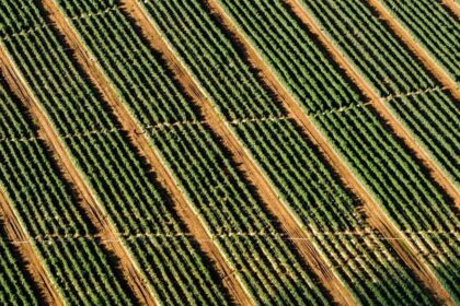 Die Rolle der Elemente in der persönlichen Astrologie