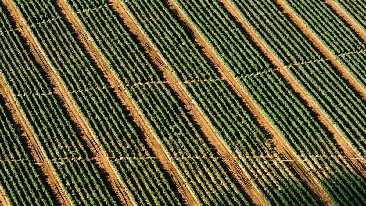 Die Rolle der Elemente in der persönlichen Astrologie