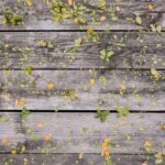 Die Rolle von Spiritualität in der astrologischen Praxis