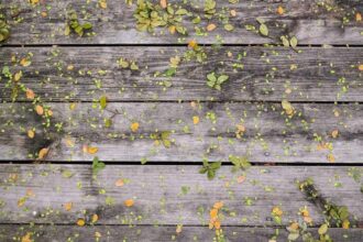 Die Rolle von Spiritualität in der astrologischen Praxis