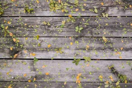 Die Rolle von Spiritualität in der astrologischen Praxis