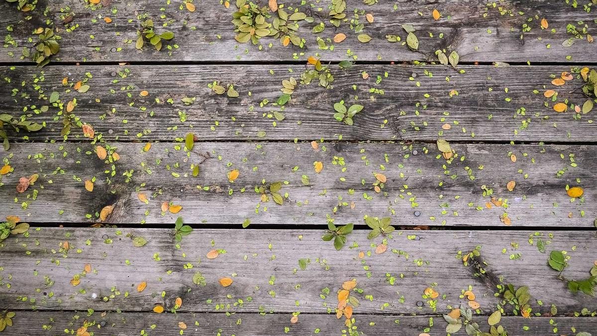 Die Rolle von Spiritualität in der astrologischen Praxis