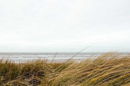 Energiezentren aktivieren: Chakra-Arbeit für Anfänger