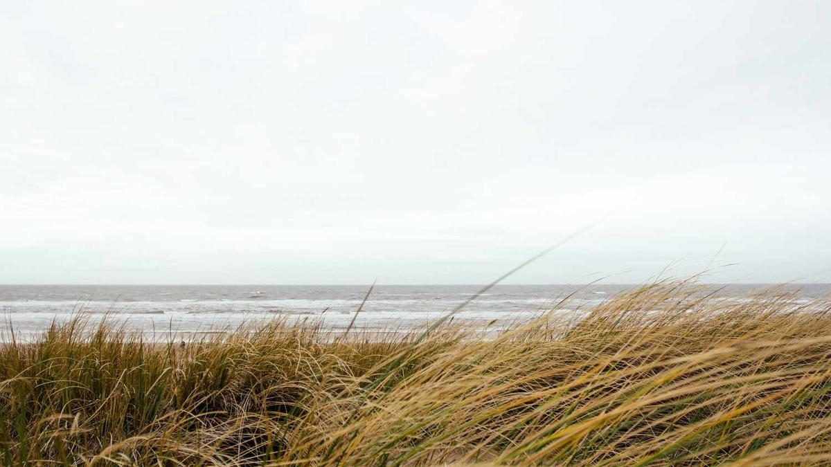 Energiezentren aktivieren: Chakra-Arbeit für Anfänger