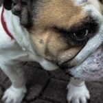 Numerologie: Die Bedeutung Ihrer Lebenszahl