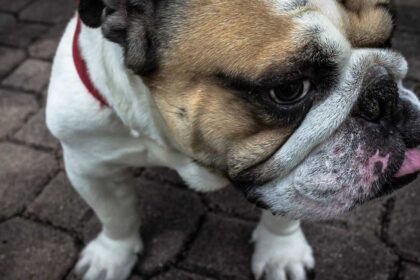 Numerologie: Die Bedeutung Ihrer Lebenszahl