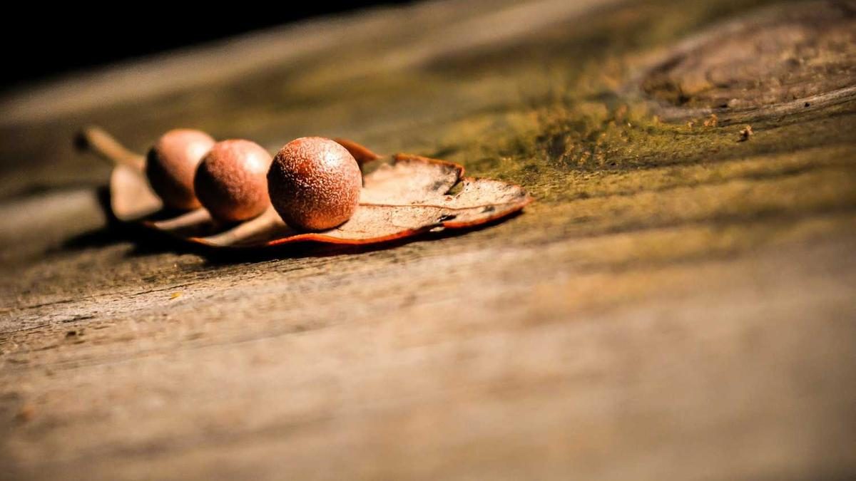 Vollmond-Meditationen: Rituale für jeden Monat