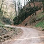 Wie das Lesen von Horoskopen dein Leben verändern kann