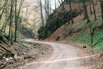 Wie das Lesen von Horoskopen dein Leben verändern kann