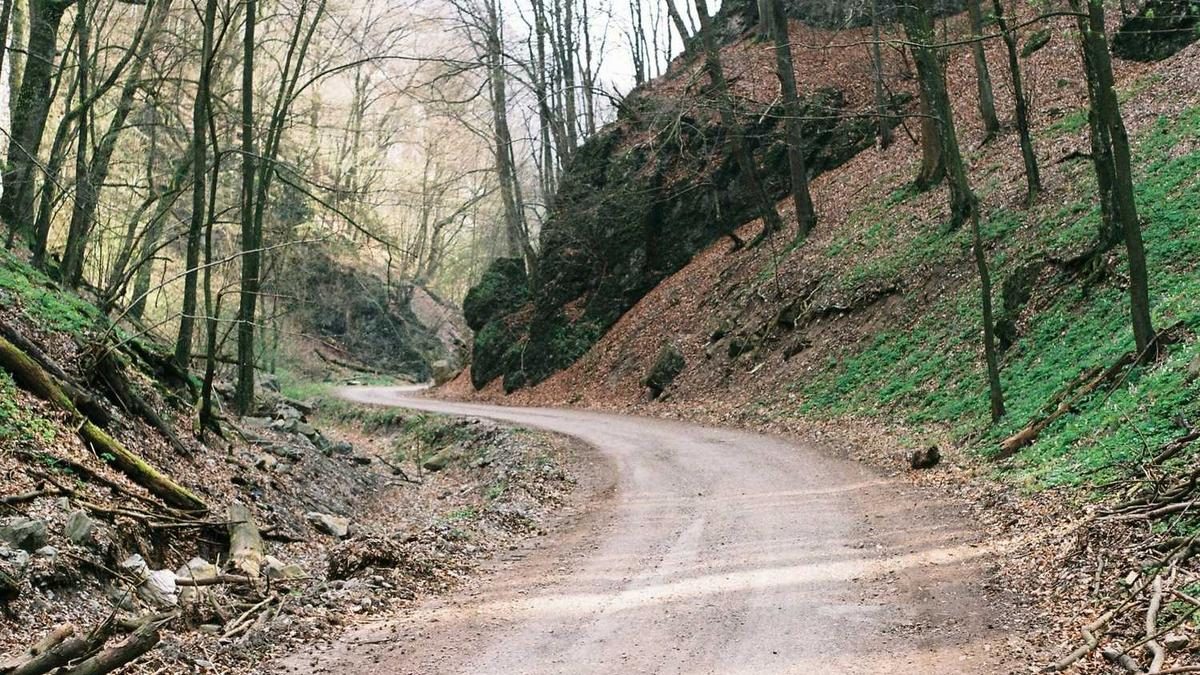 Wie das Lesen von Horoskopen dein Leben verändern kann
