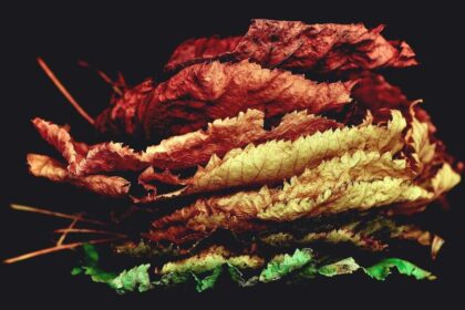 Wie die Planeten unseren Alltag beeinflussen