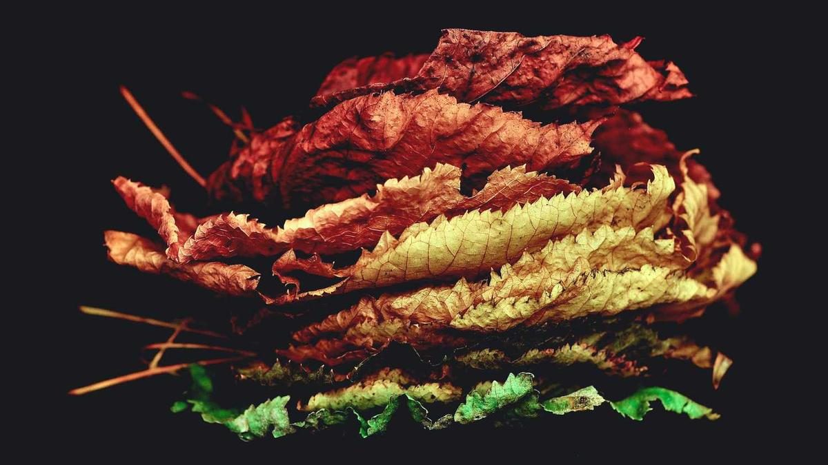 Wie die Planeten unseren Alltag beeinflussen