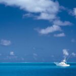 Wie du deinen persönlichen astrologischen Kalender erstellen kannst