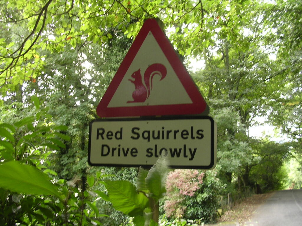 Rotes Warnschild mit Ausrufezeichen vor unscharfem Hintergrund