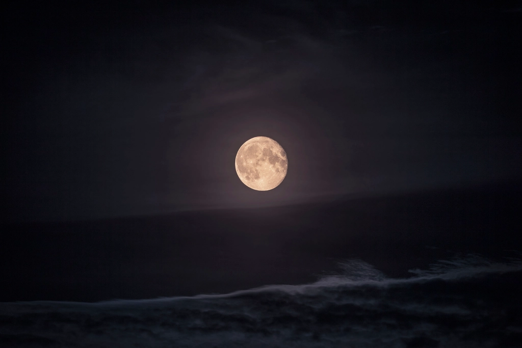 Voller Mond über einer dunklen Baumreihe an einem klaren Nachthimmel